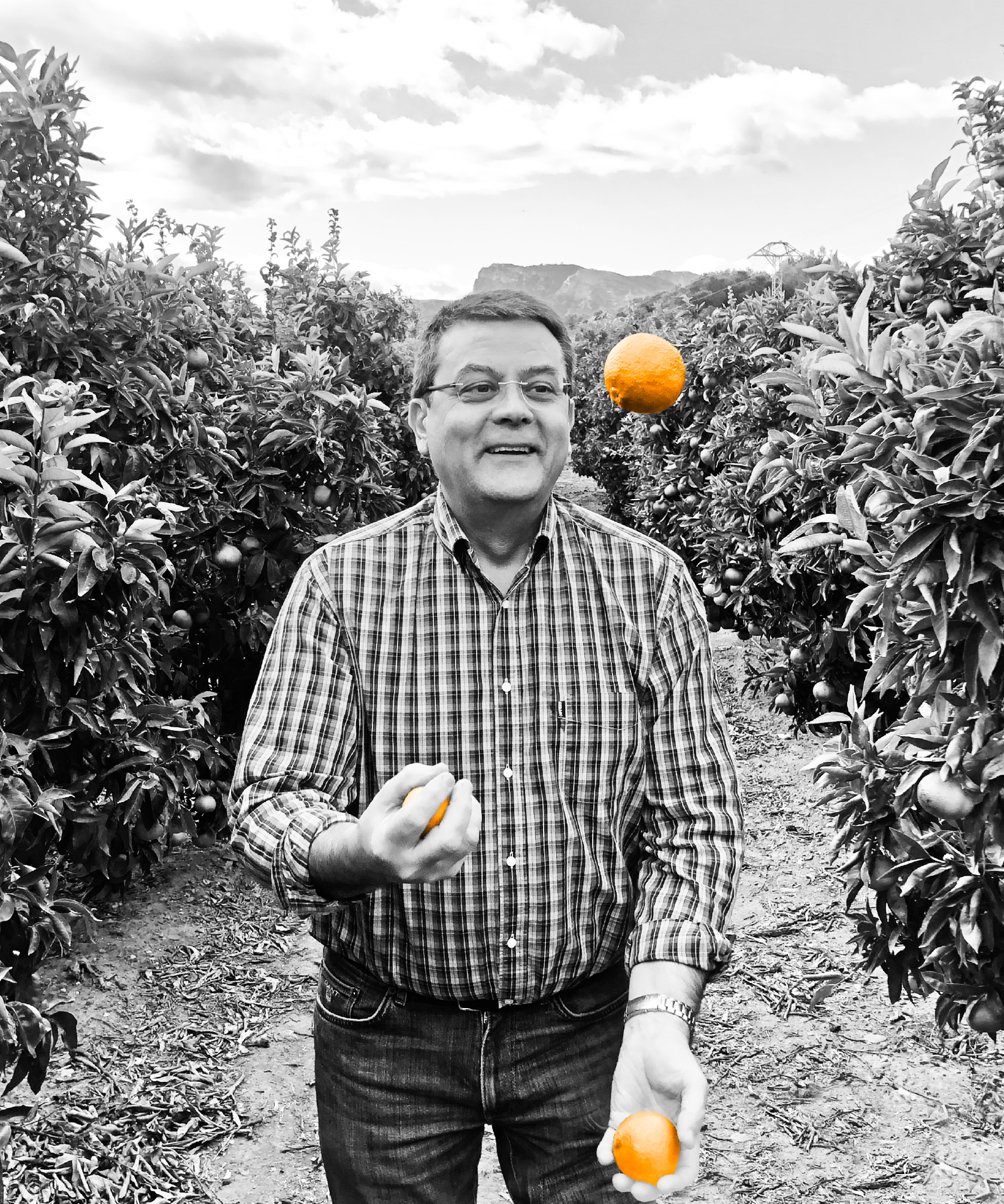 Teler José FRUIT OP JE WERK
