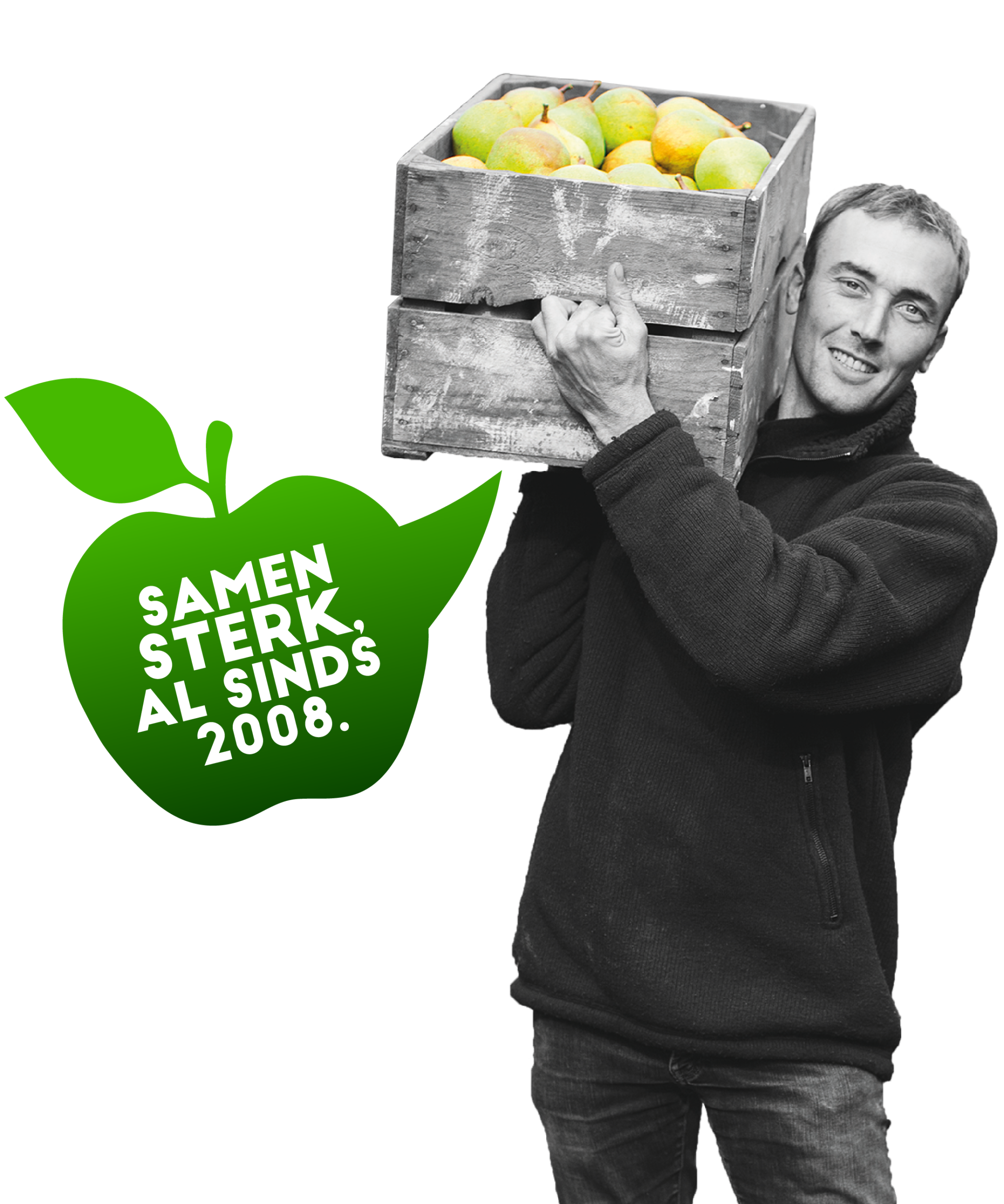 Teler Van Maaswaal - sinds 2008 - FRUIT OP JE WERK